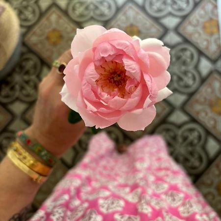 Le Logis Blanc Bed&Breakfast Coursan 외부 사진