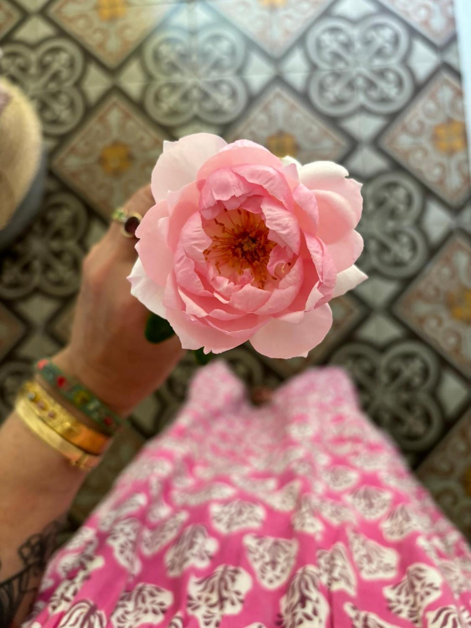Le Logis Blanc Bed&Breakfast Coursan 외부 사진