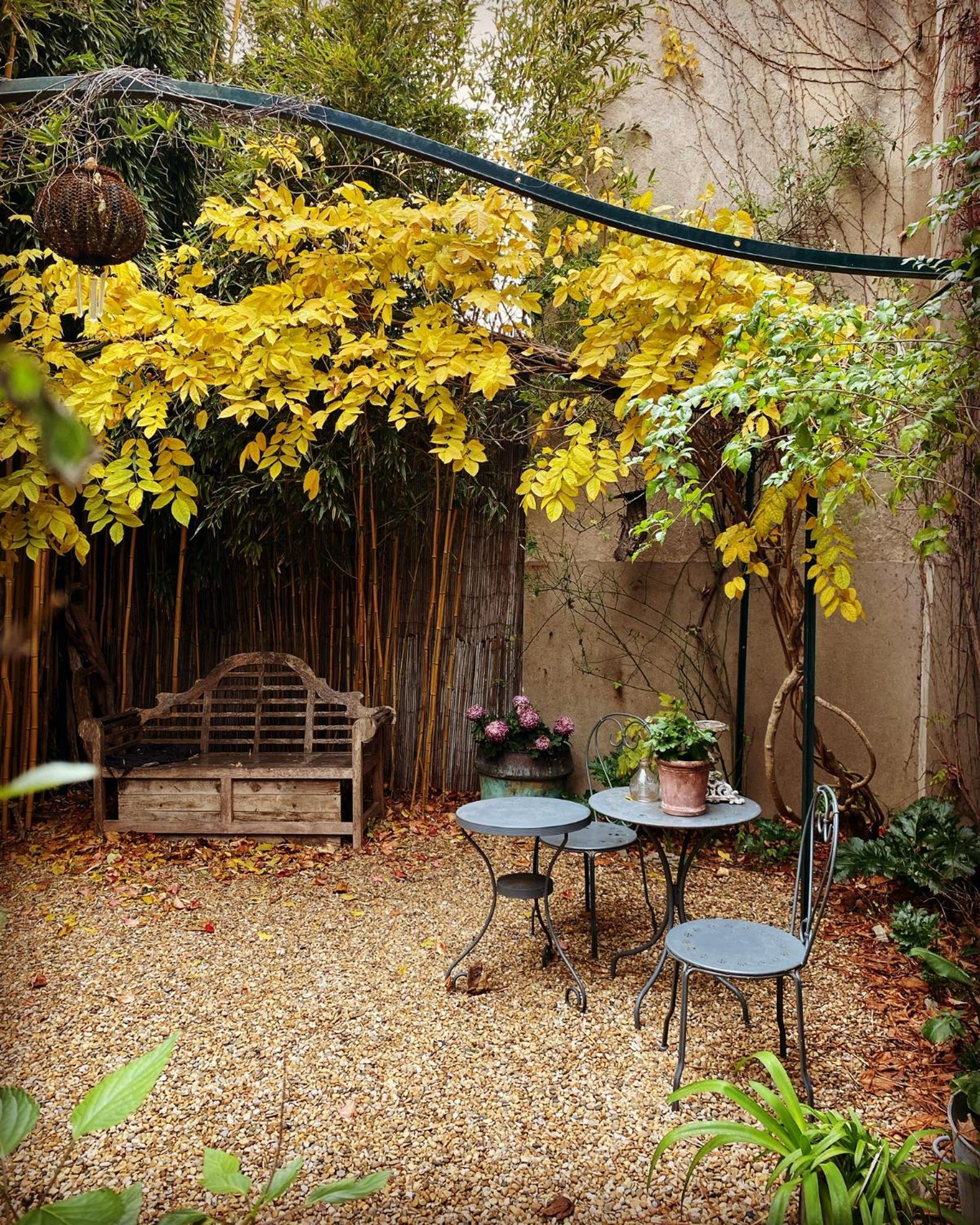Le Logis Blanc Bed&Breakfast Coursan 외부 사진