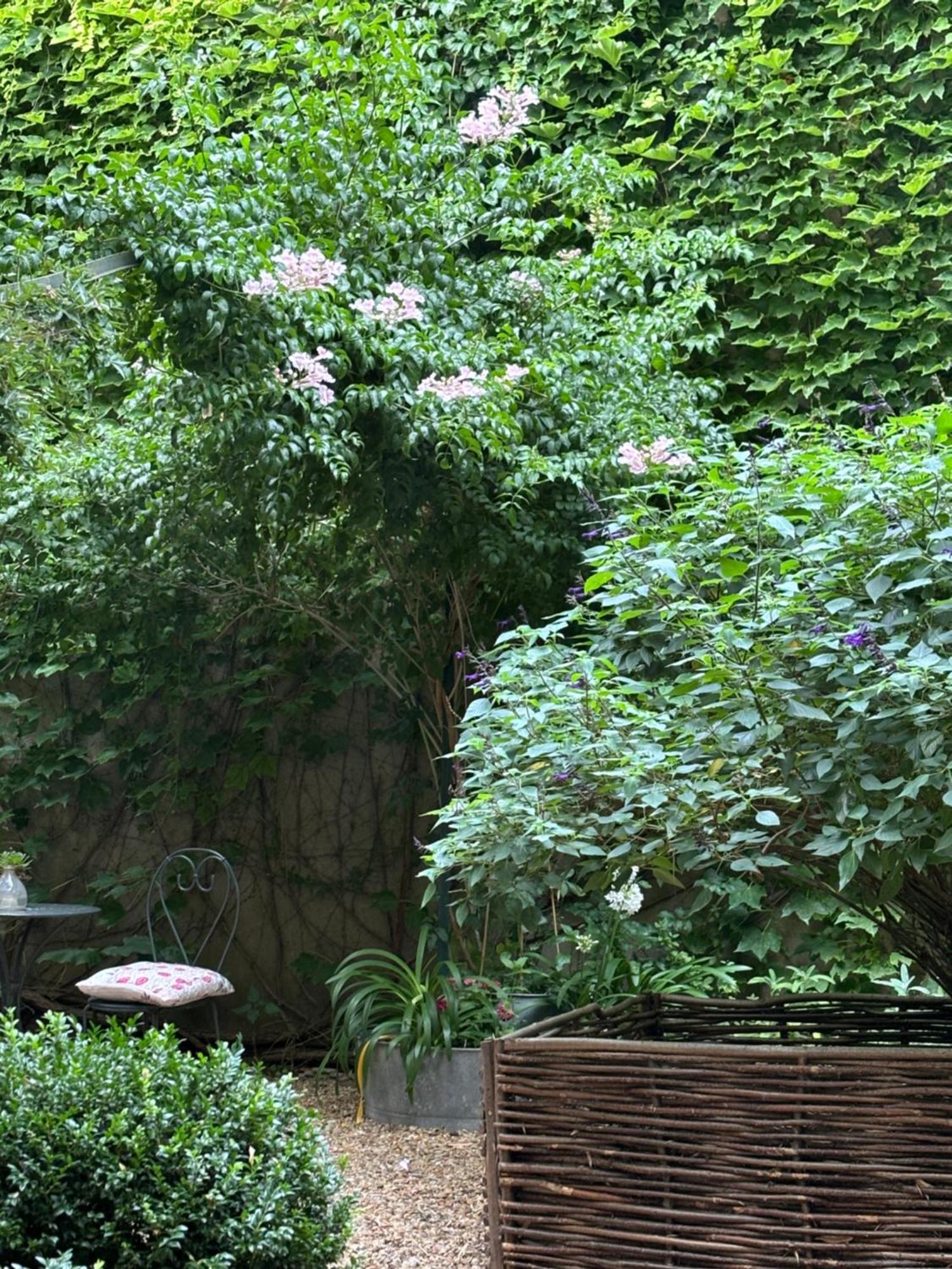 Le Logis Blanc Bed&Breakfast Coursan 외부 사진