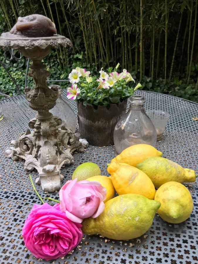 Le Logis Blanc Bed&Breakfast Coursan 외부 사진